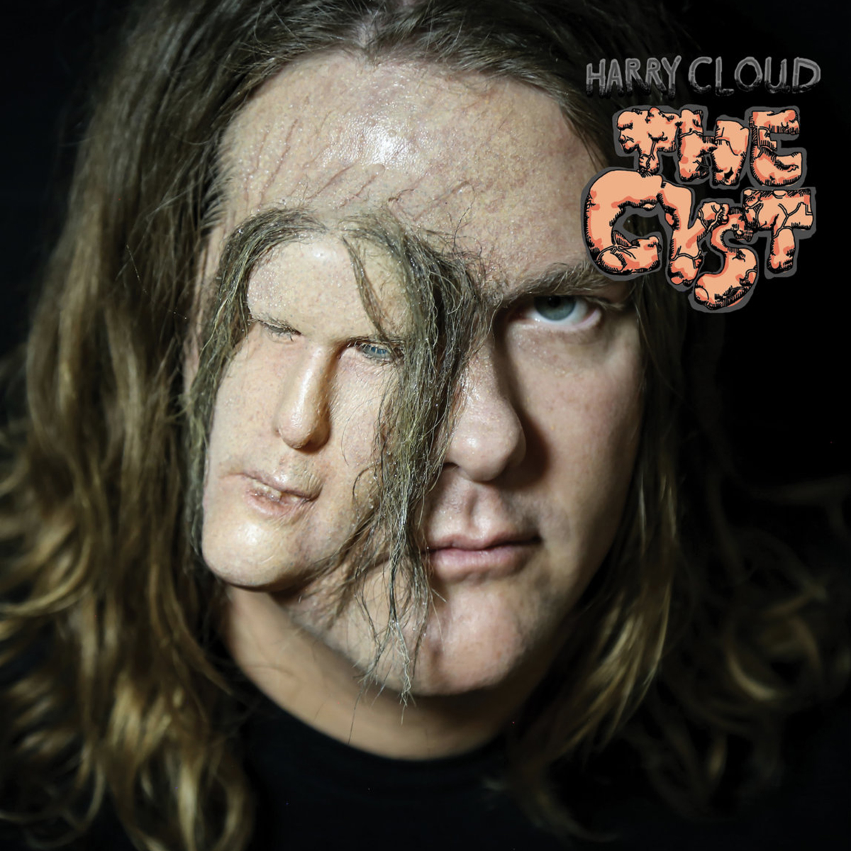 The Cyst, Harry Cloud Music
