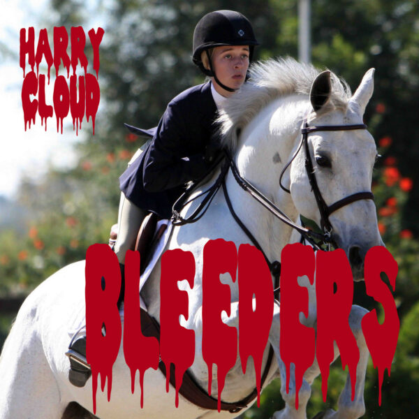 Bleeders, Harry Cloud Music