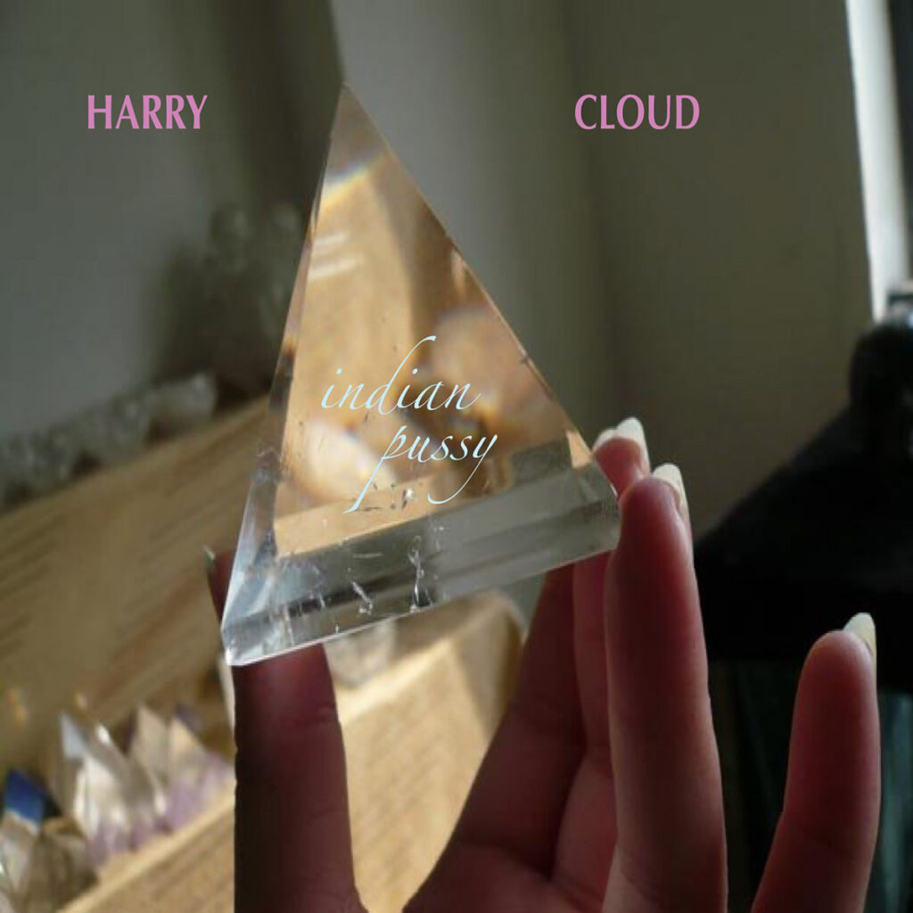 Indian Pussy, Harry Cloud Music