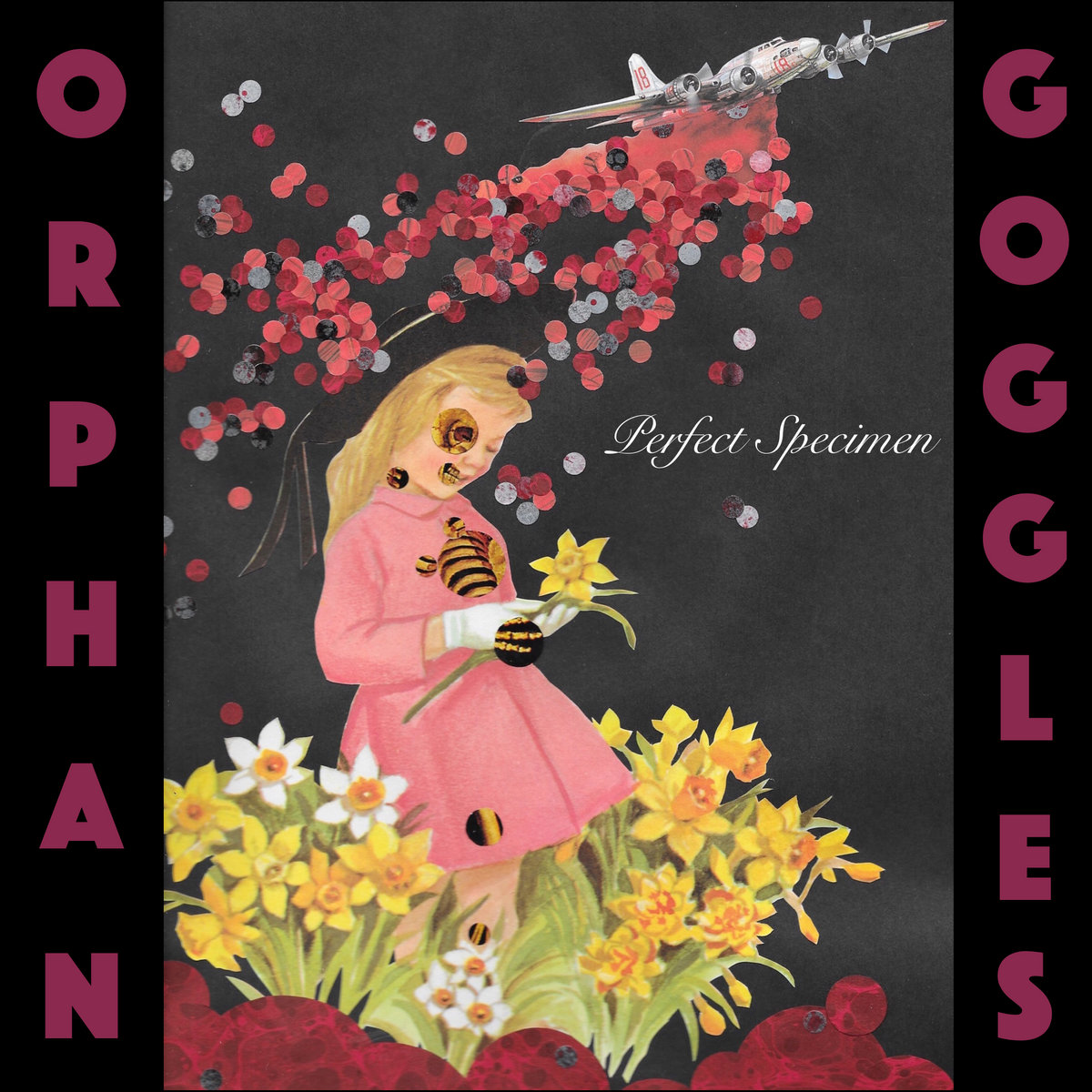 Perfect Specimen, Orphan Goggles, Harry Cloud Music