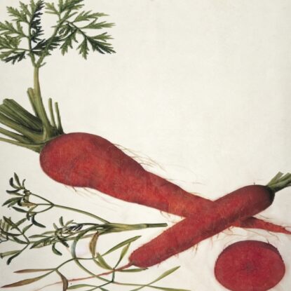 A Tapeworm-Eaten Carrot, Harry Cloud Music